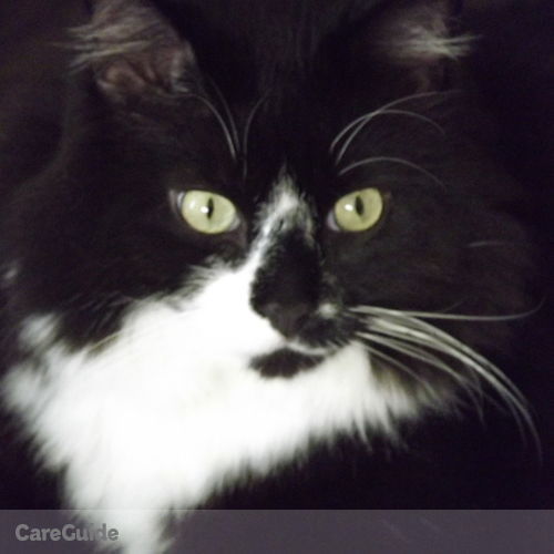 Pet Care Provider Richmond Killough's Profile Picture