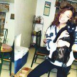 Looking For Canonsburg Pet Sitter, Pennsylvania Jobs