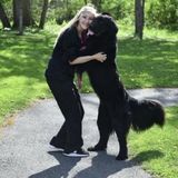 Interviewing For Lancaster Dog Walker and Pet Sitter Opportunity