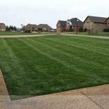 I Specialize in Lawn Care