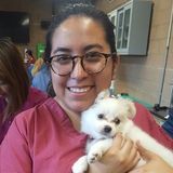 Friendly and Experienced Pet-sitter!