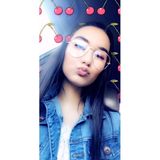 Lover Of Cats And Dogs To The Rescue!