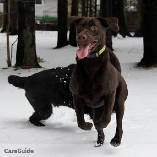 Pet Care Provider Raven S's Profile Picture