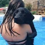 Valdosta Dog Walker Interviewing For Job Opportunities