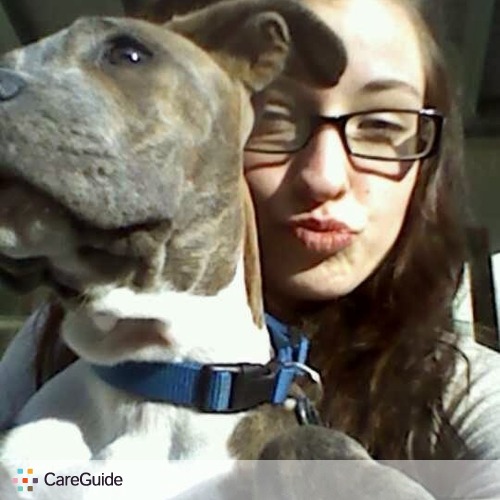 Pet Care Provider Nellie T's Profile Picture
