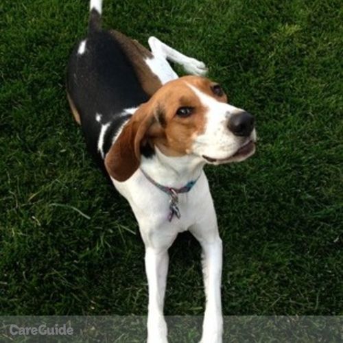 Pet Care Job Tamara G's Profile Picture