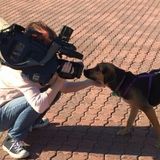 Creative Experienced Videographer Ready To Help