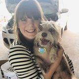Looking to dog sit, any breed and size.
