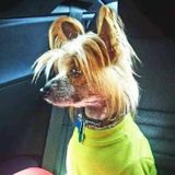 Compassionate Pet Care for Your Family