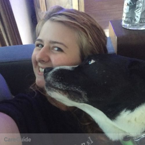 Pet Care Provider Holly C's Profile Picture