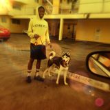 Interested In a Pet Carer Job in Miami