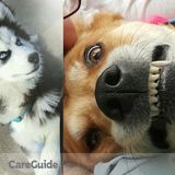 Furbabies Pet Care Sitting