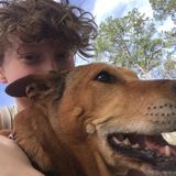 Hey there! I'm an animal lover (and owner) in Brooksville, Florida looking to give your pets the excellent care they deserve!