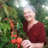 We are a healthy gardener retired couple looking For a House and Pet Sitter Job in British Columbia