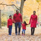 A kind and organized caregiver needed in North Toronto