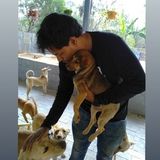 A young super friendly person to take care of your pet when you are away on work duties . offering dog sitting and walking .