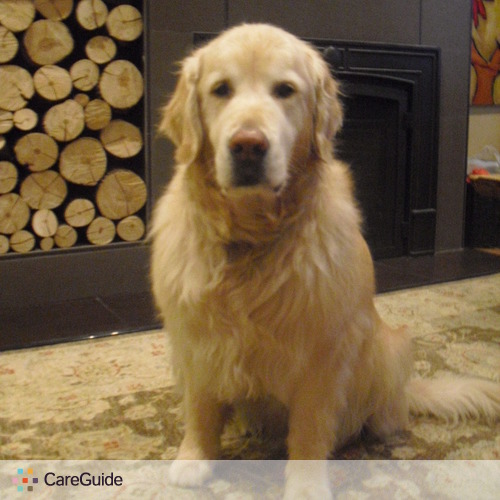 Pet Care Provider Tanya McNeil's Profile Picture