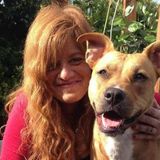 Reliable Housesitter in Crescent City