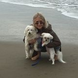 Pet sitter, will care for all types of pets and livestock