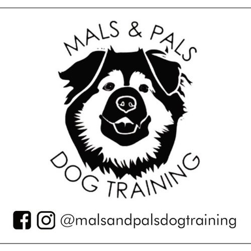 Experienced Dog Trainer And Walker Sitter In North Vancouver Dog Walker Pet Sitter In North Vancouver Petsitter Com Experienced Dog Trainer And Walker Sitter In North Vancouver Dog Walker Pet Sitter In North Vancouver Petsitter Com