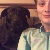 Hi! I am lacie Wood. I am offering Professional animal sitting for Your Home.