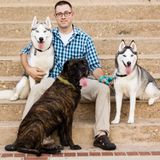 I love dogs more than people.