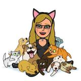 Cat care in your Home in Daytona Beach, Florida. Several References