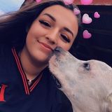 For Hire: Caring Pet Carer in Sherman, Texas