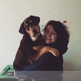 Petsitting/Dog Walking For Reasonable Prices From University Student