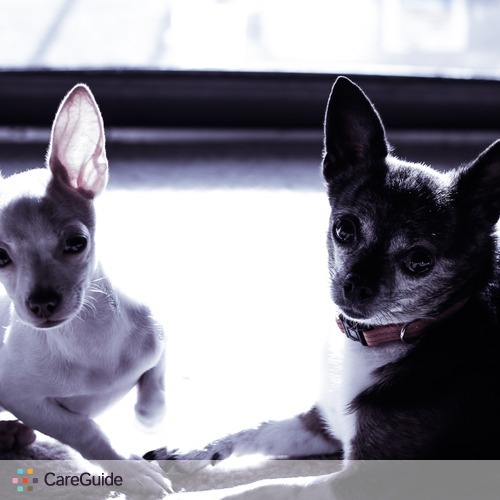 Pet Care Job Halo&Luna H's Profile Picture