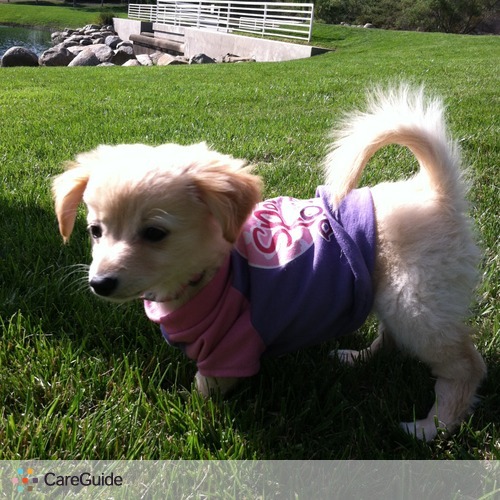Pet Care Job Elena H's Profile Picture