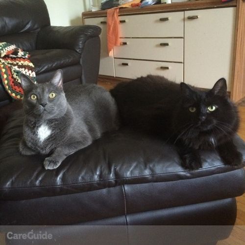 Pet Care Provider Jessica C's Profile Picture