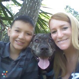 ELITE PET WATCHERS, Pet Sitting/Dog Walking