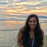 Summer house sitter in Pullman!