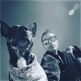 Clermont Dog Walker Available For Being Hired