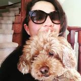 Searching for a Dog Walker Job in North York contact by email: