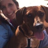 Loving care for our furry friends!