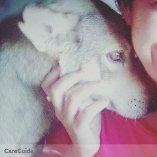 Pet Care Provider 's Profile Picture