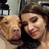Seeking Greater Vancouver House and Pet Sitter, British Columbia Jobs