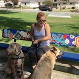 Hard Working Dog Walker and Pet Sitter in the Simi Valley area.