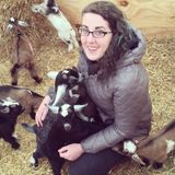 Willing to look after nearly any pet you've got!