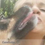 Experienced and Reliable Pet Sitting NE Guilford Cty NC