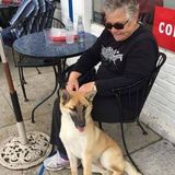 Hardworking Petsitter for Hire