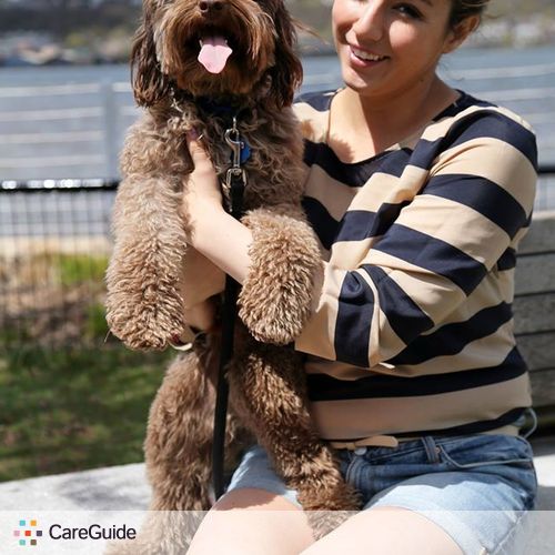 Pet Care Provider Megan B's Profile Picture