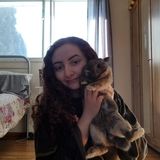 Pet sitter in Edmonton, Ab :)