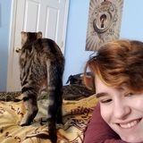 Reliable teen looking to hang and take care of some furry friends!