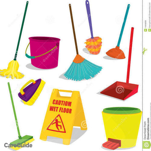 Housekeeper Provider Laqune M's Profile Picture