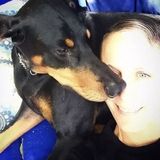 North Port House Sitting Provider Seeking Work