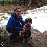 Dog Walking service in Sturgeon Falls area