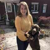 Hard Working Animal Lover for Your Home